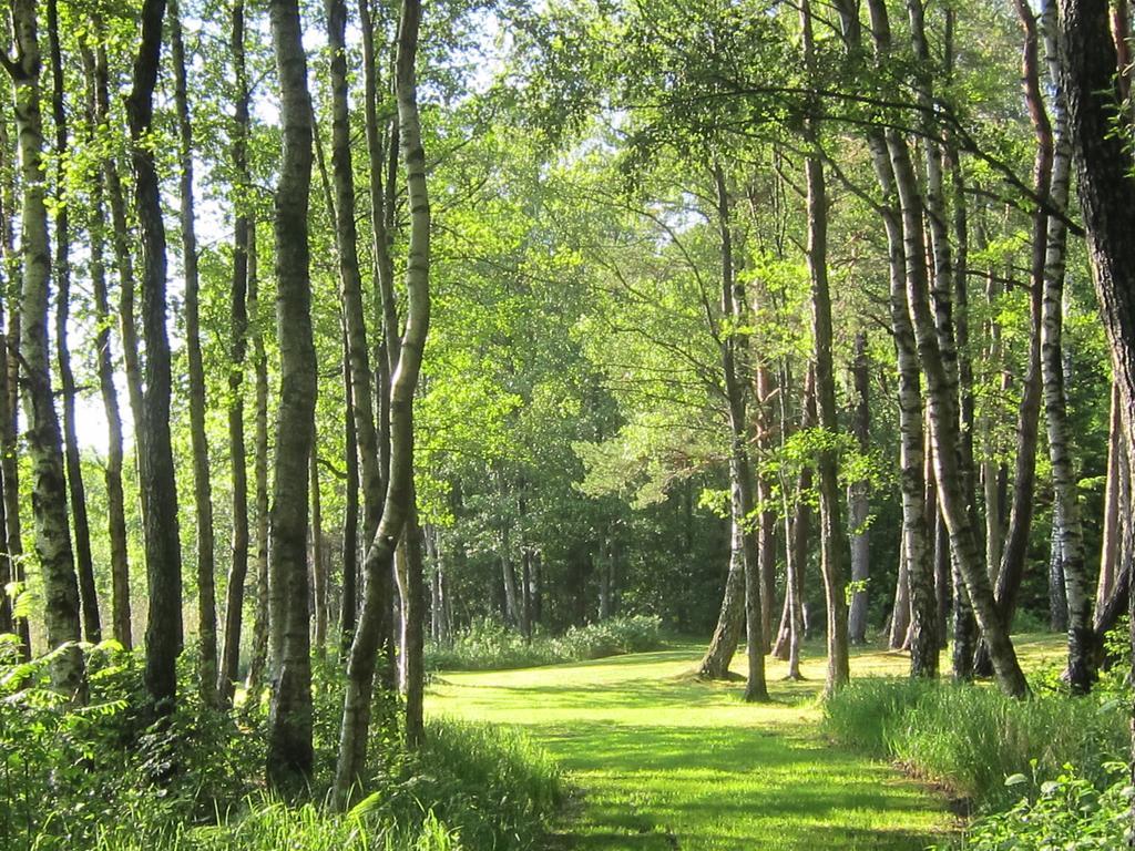 Sikhall Camping Sorbo  Ngoại thất bức ảnh
